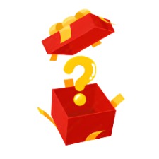 $25 Used Mystery Puzzle